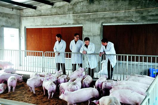 首页 | J9集团有限公司官网